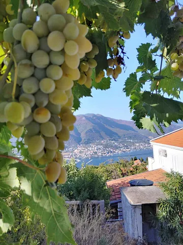 House with land plot in Luštica — 307 m² — photo 5